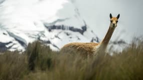 Photo d'illustration.