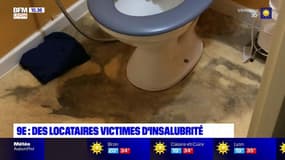 Lyon: des locataires victimes d'insalubrité dans le 9e arrondissement