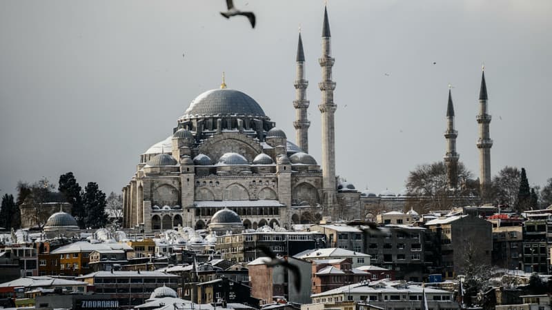 La mosquée Süleymaniye à Istanbul