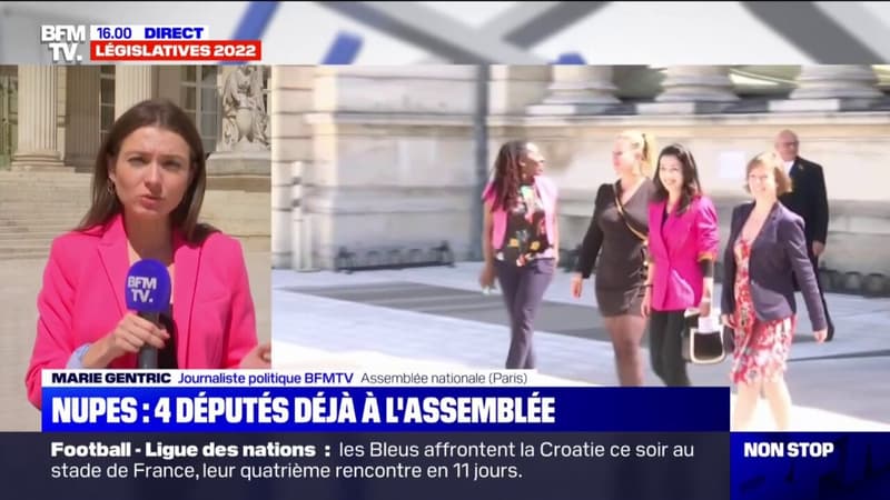 Quatre députés de la Nupes déjà présents à l'Assemblée