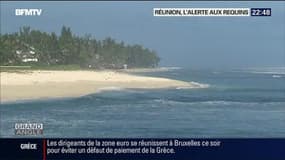 Les attaques de requins continuent sur l'île de La Réunion