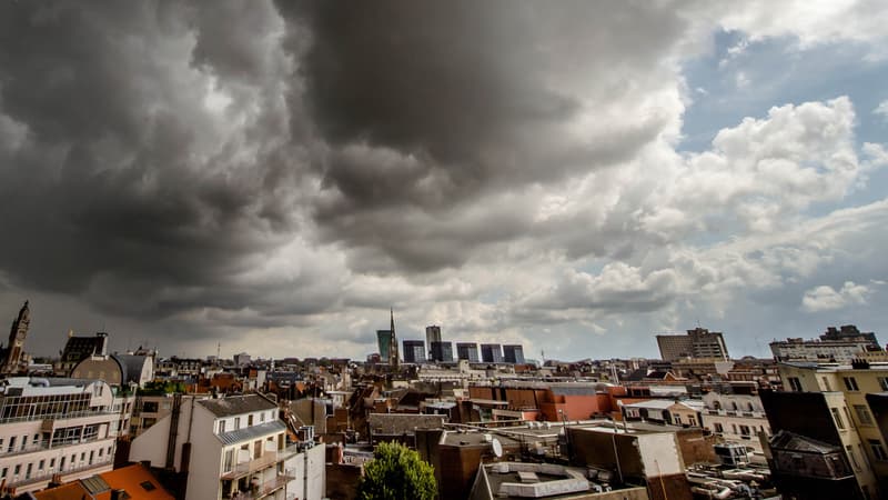 Lille, août 2014.