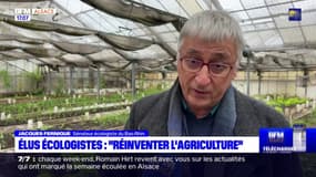 Strasbourg: les élus écologistes alertent sur le déclin de la biodiversité