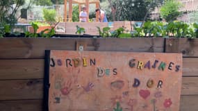 Le jardin communautaire a été lancé en 2017 dans le quartier de la Rode, à Toulon. 