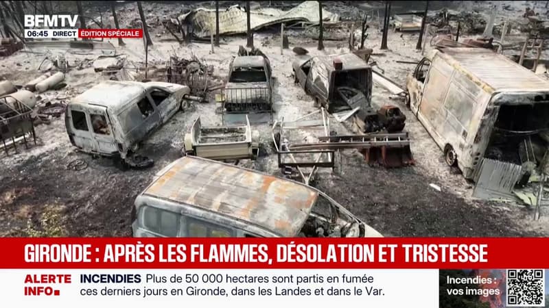 "Je vois de la désolation": au Porge, en Gironde, les sinistrés constatent les dégâts après le passage des flammes