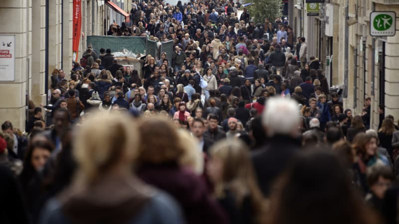 La foule dans les rues de Bordeaux, le 8 janvier 2014 (illustration)