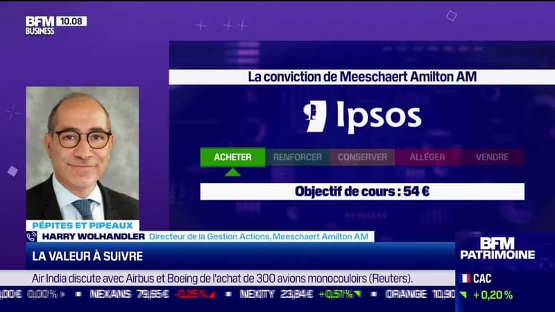 Pépites & Pipeaux : Ipsos - 20/06