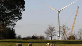 La conférence environnementale qui s'ouvre vendredi ne devrait pas faire l'économie de mesures d'"urgence" destinées à soutenir notamment les filières renouvelables. A l'image de l'éolien et du photovoltaïque. /Photo prise le 19 mars 2012/REUTERS/Stephane