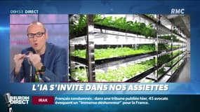La chronique d'Anthony Morel : L'IA s'invite dans nos assiettes - 04/06