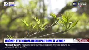 35°C à Lyon: le parc de la Tête d'Or fait le plein