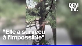 Texas: le sauvetage miraculeux d'une femme, emportée par les eaux sur 20 km