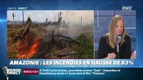 "Objectif Terre": incendies catastrophiques en Amazonie