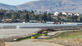 Des bus transportant des colons israéliens passent devant la colonie israélienne de Bekaot près de la vallée du Jourdain en Cisjordanie occupée, le 27 janvier 2020.