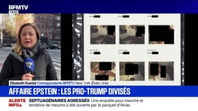 La publication de nouveaux documents concernant l'affaire Epstein soulève plus de questions qu'elle n'apporte de réponses