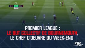 Premier League : Le but collectif de Bournemouth, le chef d'oeuvre du week-end