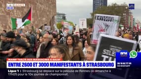 Strasbourg: entre 2.600 et 3.000 personnes rassemblées pour une manifestation nommée "halte aux massacres à Gaza"