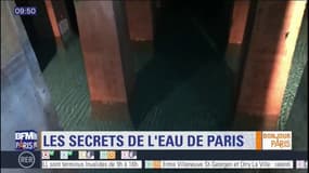 De son traitement au robinet, dans les coulisses de l'eau de Paris