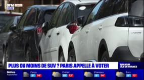Plus ou moins de SUV? La mairie de Paris appelle à voter