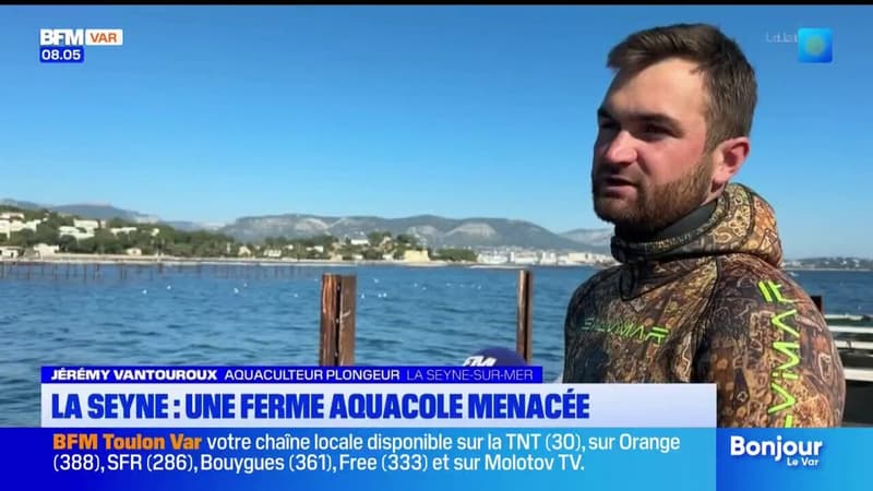 La Seyne-sur-Mer: l'appel au don d'un jeune aquaculteur qui s'est lancé depuis deux ans