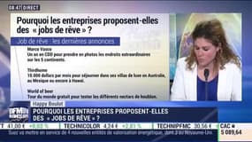 Happy Boulot: Pourquoi les entreprises proposent-elles des "jobs de rêve" ? - 31/03