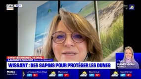  "Les gens peuvent ramener leur sapin": pour lutter contre le désensablement des dunes de Wissant, la maire appellent les riverains à venir déposer leur sapin de Noël