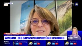 "Les gens peuvent ramener leur sapin": pour lutter contre le désensablement des dunes de Wissant, la maire appellent les riverains à venir déposer leur sapin de Noël
