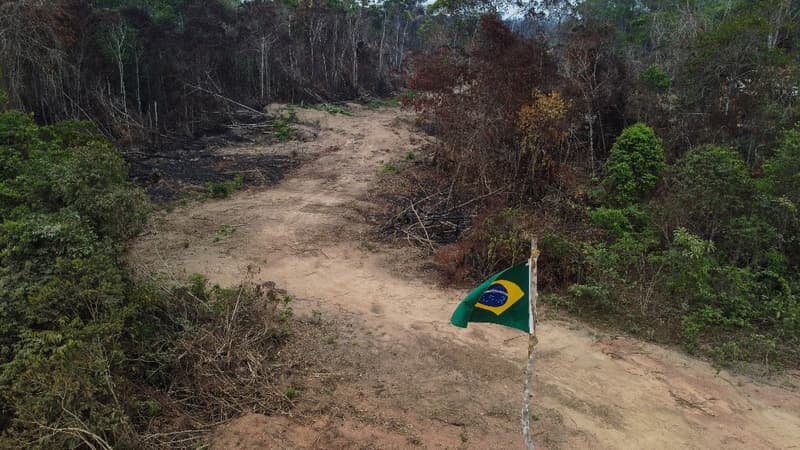 Plus d'un tiers de la forêt amazonienne a du mal à se remettre des épisodes de sécheresse