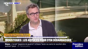 Moustiques: Quels sont les conseils pour s'en débarrasser?