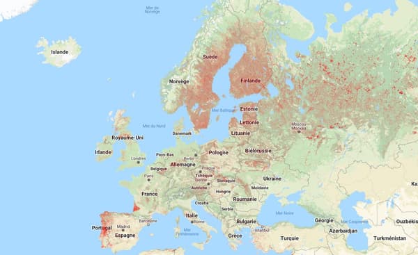 Carte d'Europe des zones touchées par la perte de surfaces forestières entre 2000 et 2019.