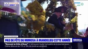 Mandelieu-la-Napoule: la fête du Mimosa 2022 annulée