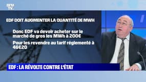 EDF : la révolte contre l'Etat - 26/01