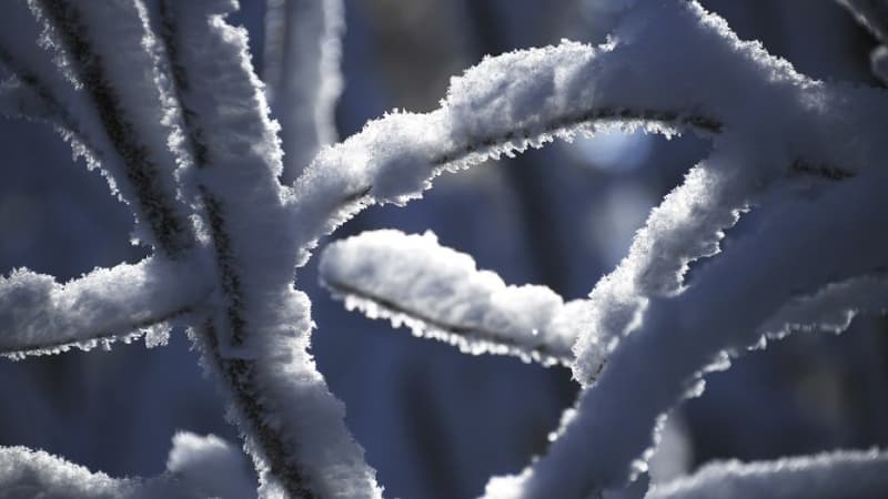 La neige devrait tomber cette semaine dans les Pyrénées. (ILLUSTRATION)