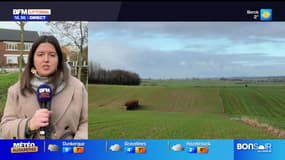 Bonsoir Littoral du mardi 30 décembre 2025