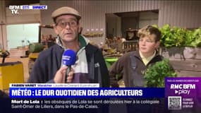 Chaleur exceptionnelle, tempête de grêle, gel... le dur quotidien des agriculteurs face au changement climatique