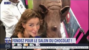 Paris découvertes : Fondez pour le Salon du chocolat 1/2