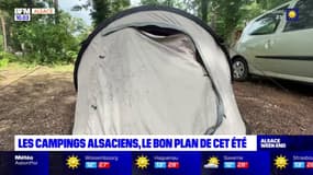 Alsace: les campings, le bon plan de cet été