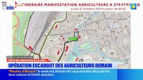 Projet d'écotaxe: opération escargot des agriculteurs ce lundi