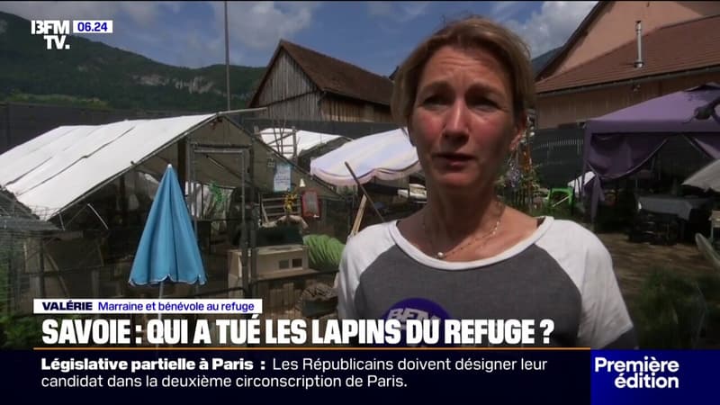 Savoie: un refuge pour lapins ciblé par plusieurs actes malveillants