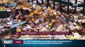 A Amiens, plus de 4.000 foyers se chauffent grâce aux feuilles mortes