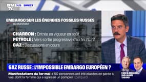 Gaz russe: l'impossible embargo européen ? 