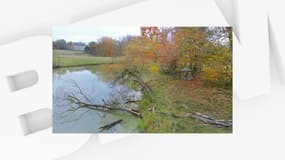 La forêt du Piple