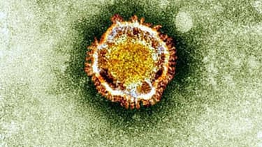 Illustration Coronavirus