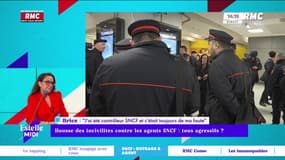Hausse des incivilités contre les agents SNCF : "J'ai été menacé de mort !"