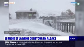 Alsace: la neige et le froid ont fait leur grand retour 