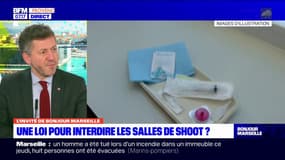 "Un coup de gueule": des députés des Bouches-du-Rhône veulent abroger la loi autorisant les salles de shoot