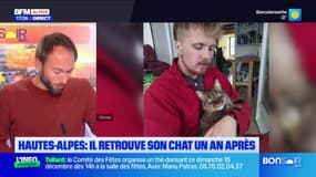 Hautes-Alpes: un homme retrouve un chat un an après sa disparition