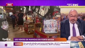 Chute brutale de la vente de mangas en France