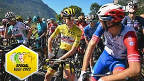 Tour de France (E10) : Une manifestation stoppe la course