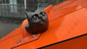 Des chats ont été cachés dans Dunkerque pour gagner des places pour le bal du chat noir.
