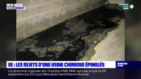 Lyon 8 : les rejets d'une usine chimique épinglés